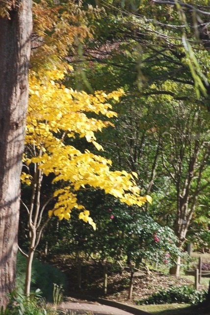 e0025300_16351438.jpg