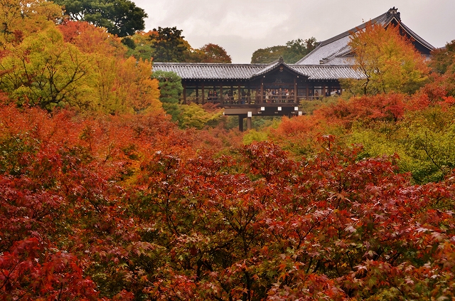 a0169902_11153977.jpg