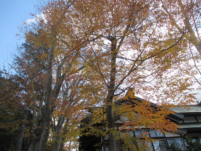 f0202703_0461164.jpg