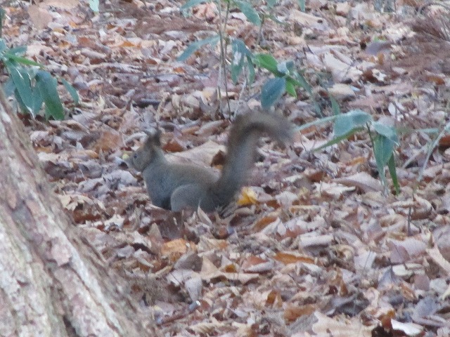 f0202703_0504630.jpg