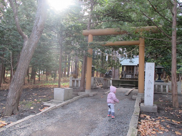 f0202703_059926.jpg