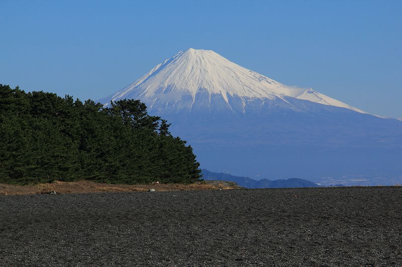 a0188405_16433025.jpg