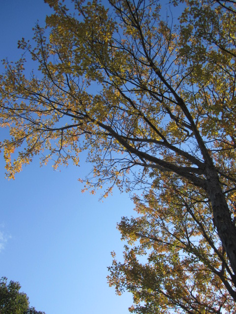 a0139007_221030.jpg