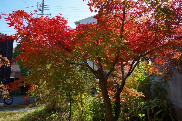 c0056707_10281378.jpg