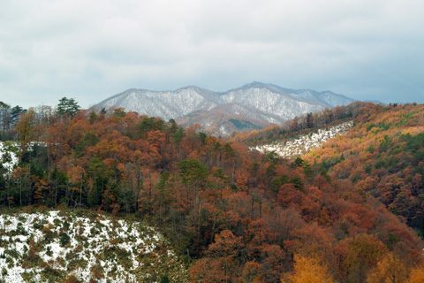 e0177509_232135100.jpg