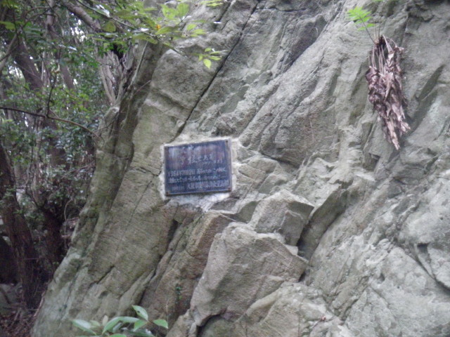 d0006512_16395136.jpg