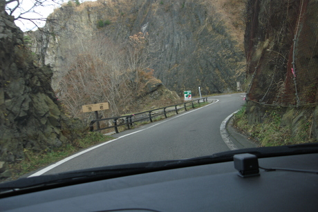 d0250123_2223553.jpg