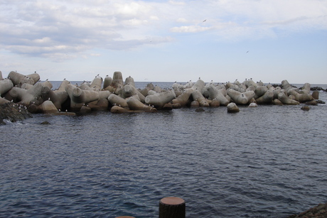 d0250123_2233394.jpg
