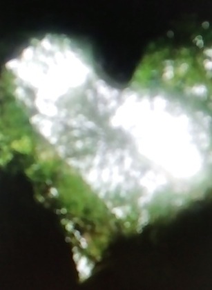 a0259533_234657100.jpg