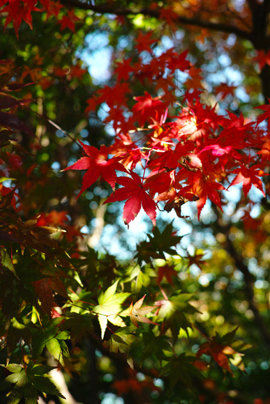 a0319833_22571177.jpg