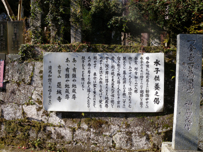 e0272335_20332360.jpg
