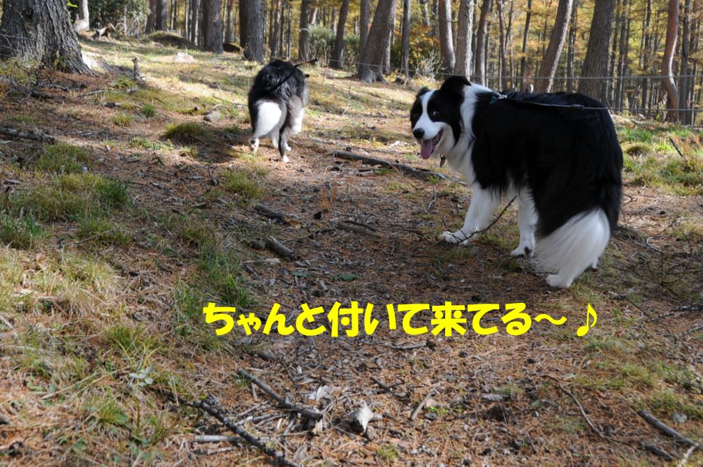 c0147241_21151089.jpg
