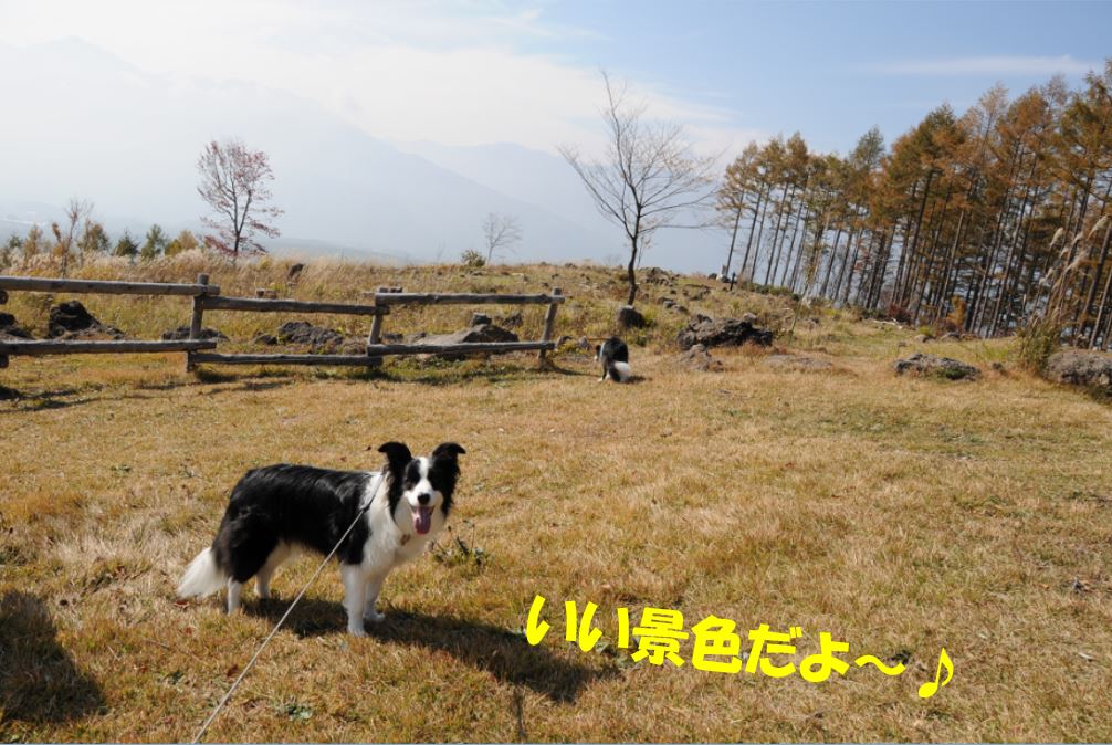 c0147241_212378.jpg