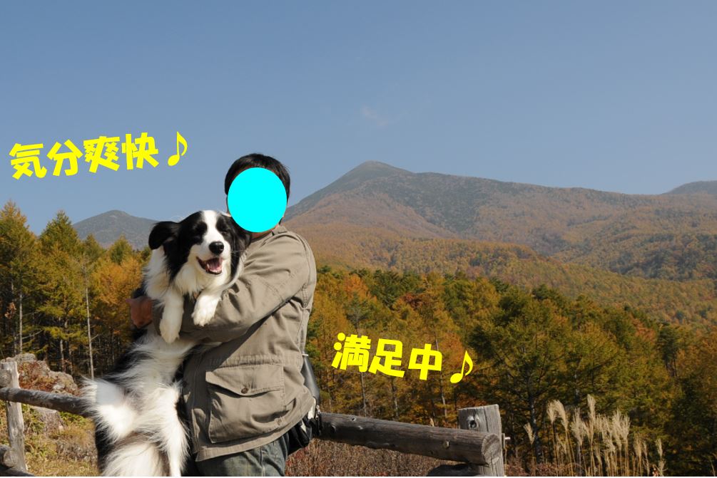 c0147241_2124723.jpg
