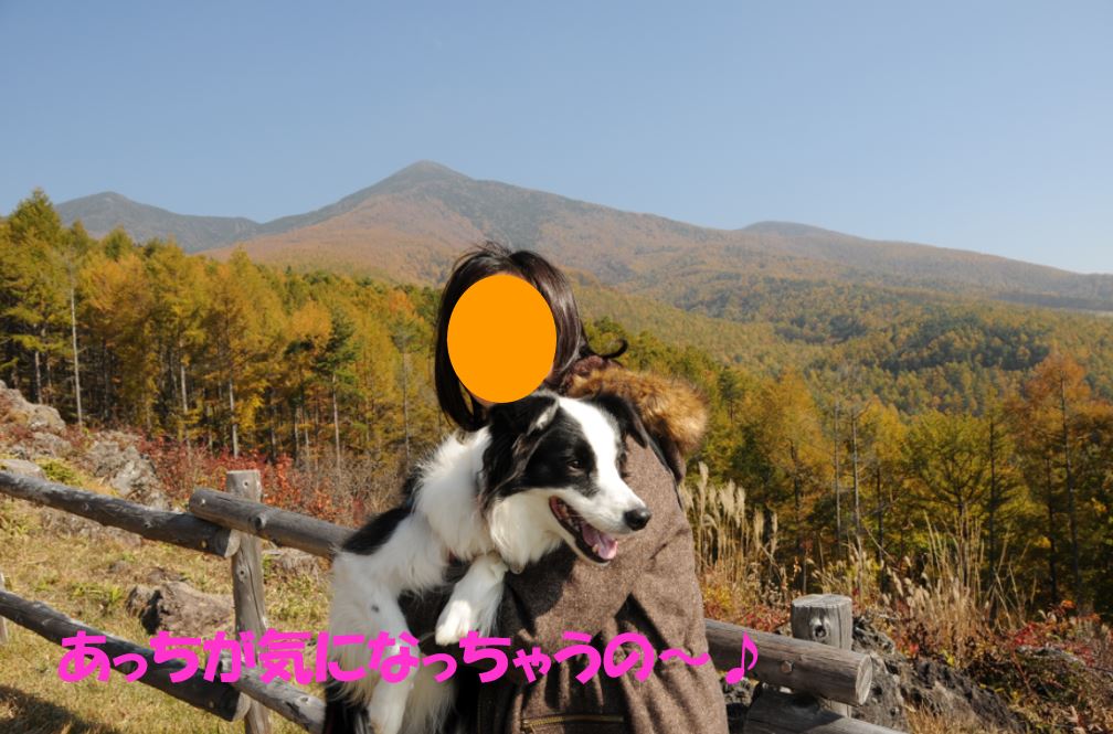 c0147241_212555.jpg