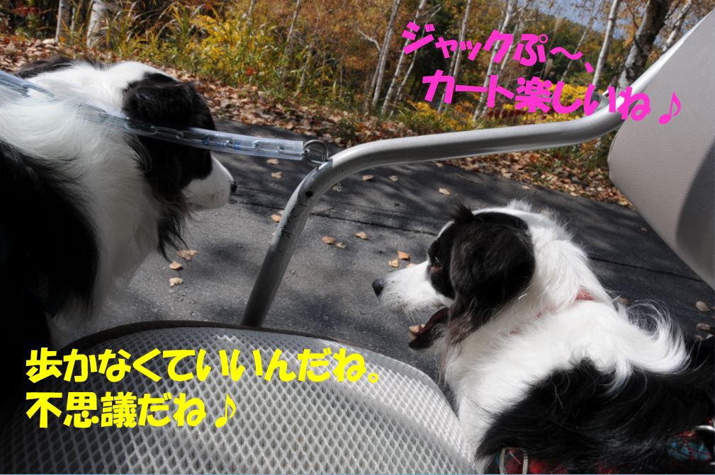 c0147241_2133281.jpg