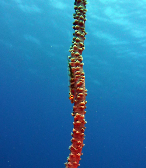 f0014842_16124068.jpg