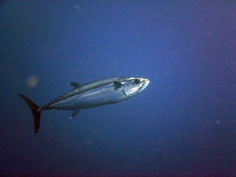 f0014842_16174864.jpg