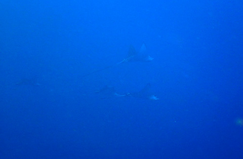 f0014842_16181874.jpg