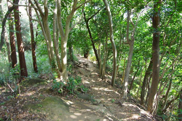 b0250144_20212860.jpg