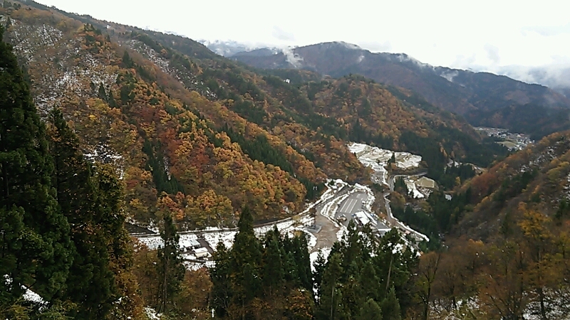 a0055650_821437.jpg