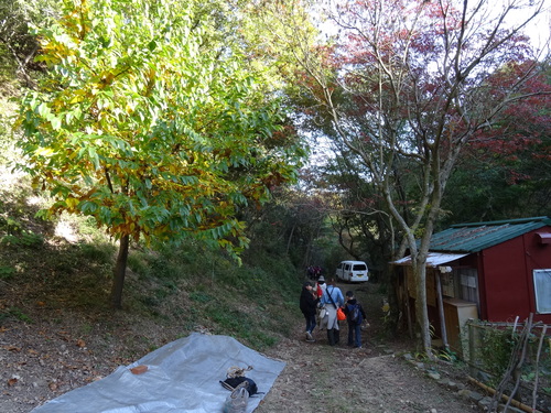 c0108460_2184264.jpg