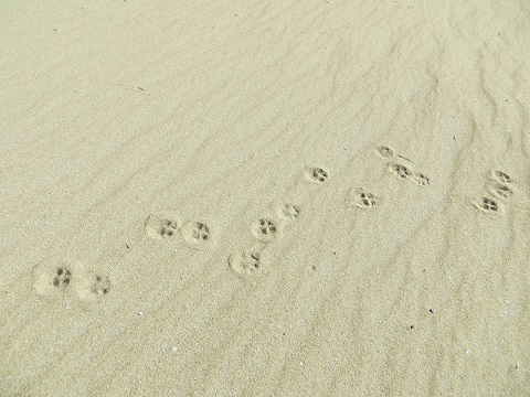 d0120665_18713.jpg