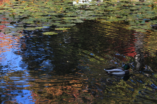 b0246968_22182265.jpg