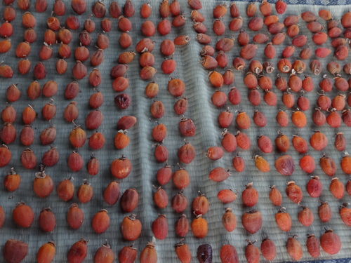 f0231573_20392664.jpg