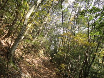 d0182075_16161774.jpg