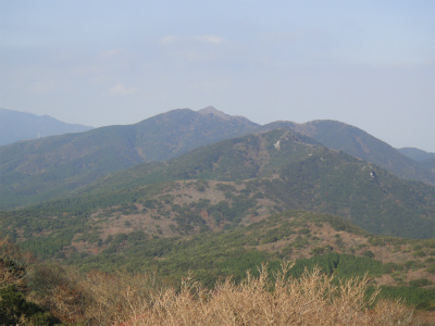 d0182075_166186.jpg