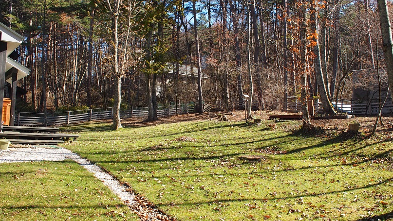 f0045283_2285021.jpg