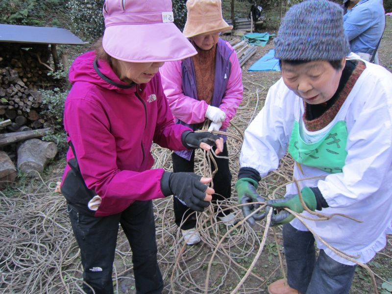f0053885_21243230.jpg