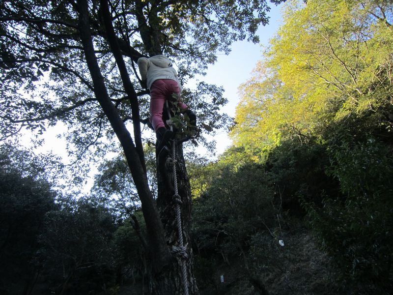 f0053885_2125507.jpg