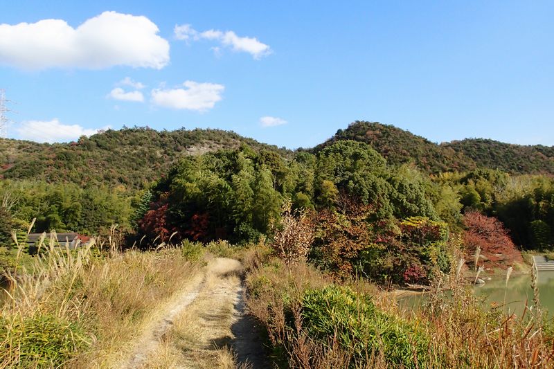 b0108186_1812012.jpg