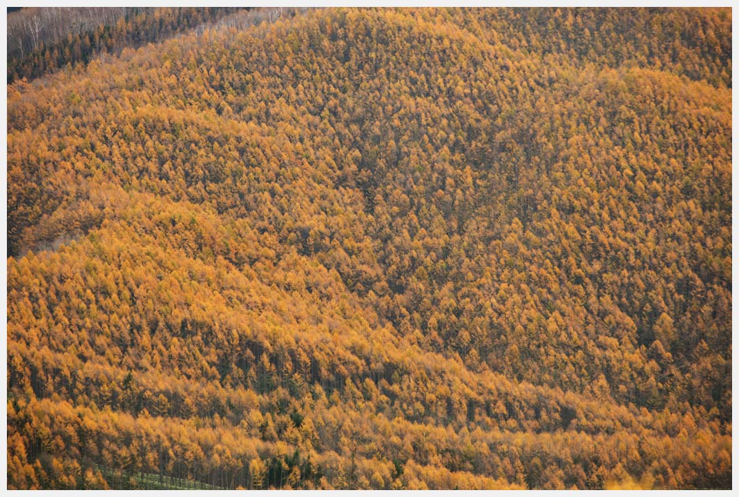 e0207391_17472712.jpg