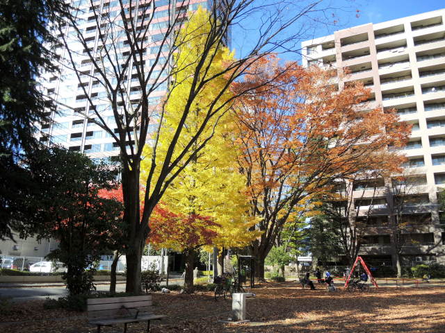 f0100593_19300663.jpg