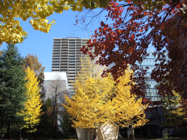 f0100593_19301530.jpg