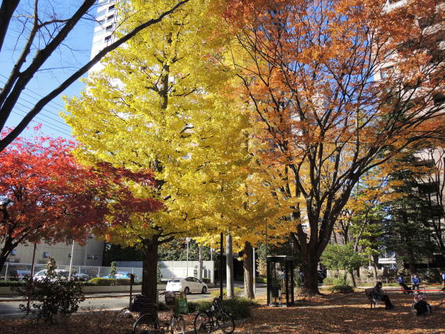 f0100593_19303256.jpg
