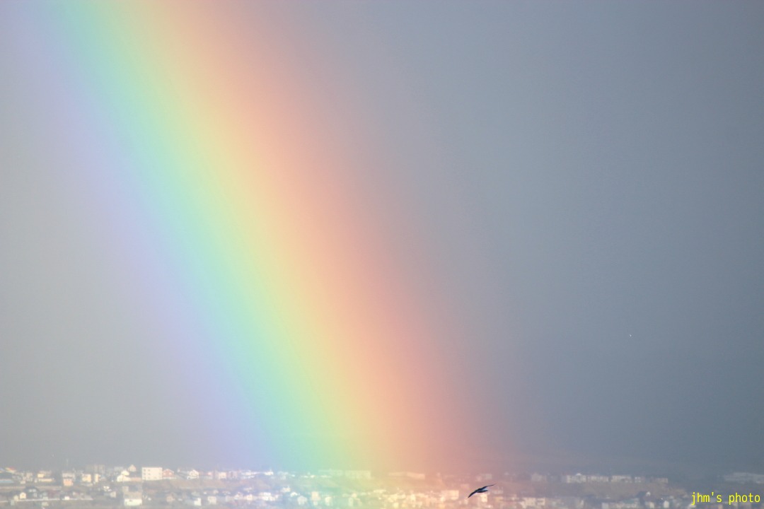 a0158797_22372527.jpg