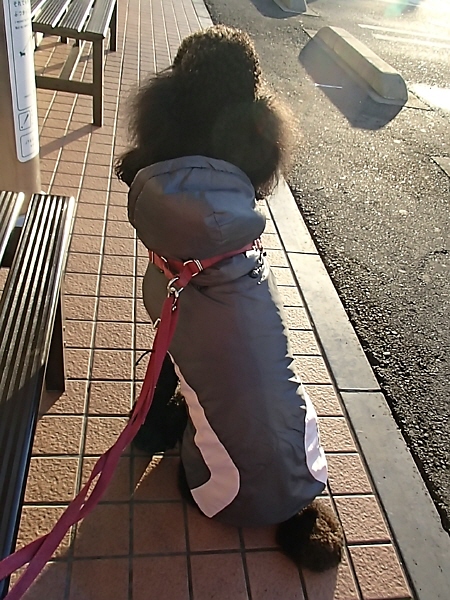 f0033598_13502017.jpg