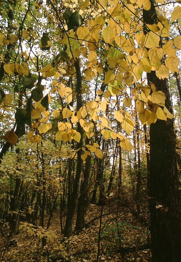 f0220698_21183716.jpg