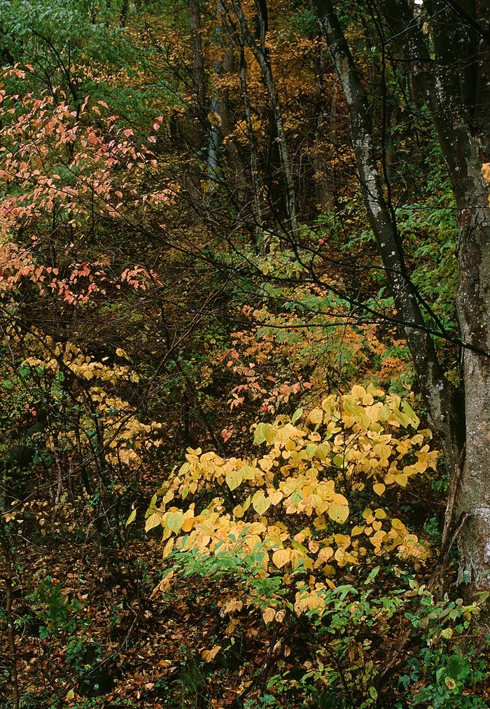 f0220698_21243180.jpg