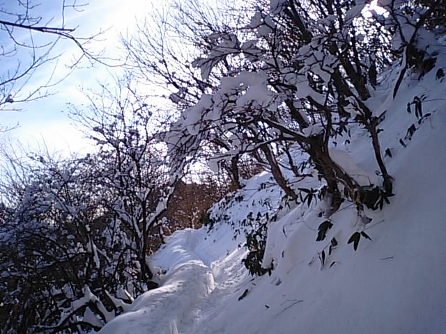 f0231709_10272698.jpg