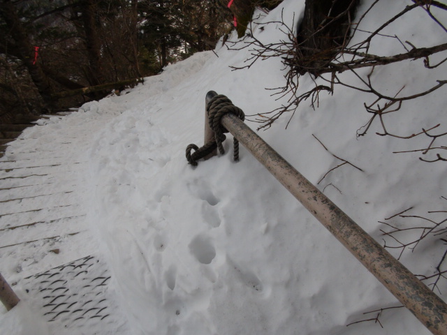 f0231709_21343427.jpg