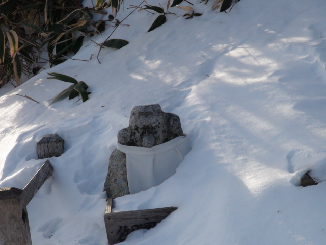 f0231709_21365547.jpg