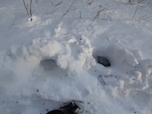 f0231709_21513671.jpg