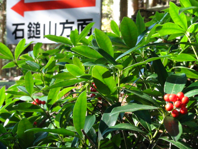 f0231709_838510.jpg