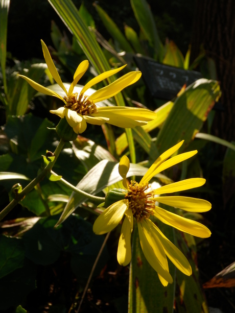 c0062511_8344363.jpg