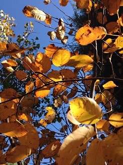 e0233111_8355032.jpg